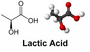 حامض اللاكتيك  lactic acid